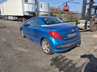 Peugeot 206 CC 2.0 16v picture 2