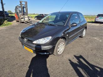 Peugeot 206 1.4 picture 3