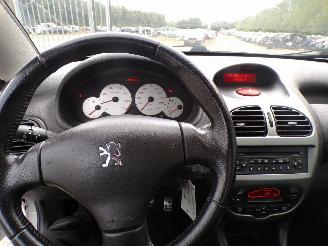 Peugeot 206 CC  1.6-16v Quiksilver picture 7