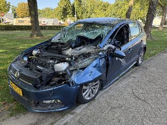 Auto incidentate Volkswagen   2017/1