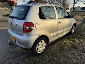 Volkswagen Fox  picture 5