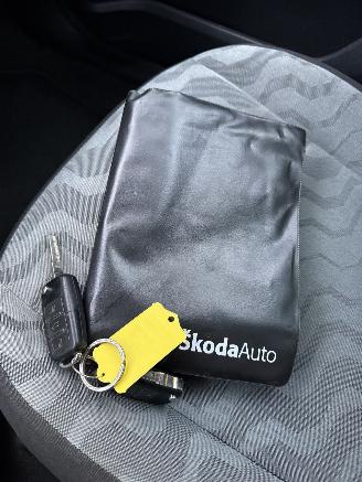 Skoda Fabia  picture 13