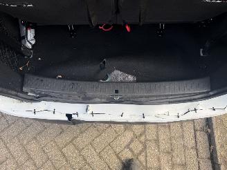 Dacia Lodgy  picture 21