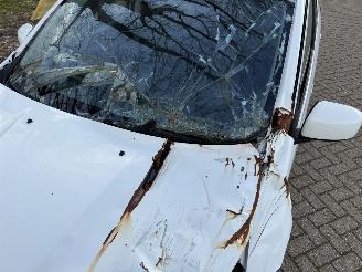 Mitsubishi   picture 14