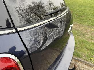 Mini Mini  picture 10