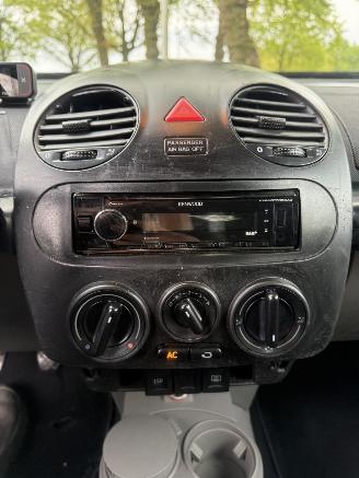 Volkswagen Beetle  picture 12