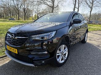 Avarii autoturisme Opel Grandland X 2021/1