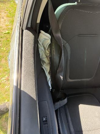 Renault Mégane Estate picture 18