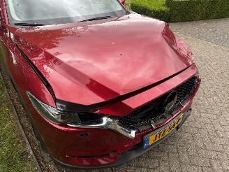 Mazda CX-5  picture 19