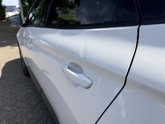 Opel Grandland X picture 13