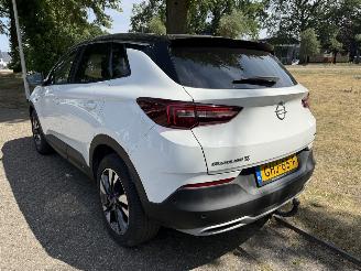 Opel Grandland X picture 3