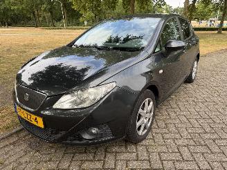 Damaged car Seat Ibiza  2010/1