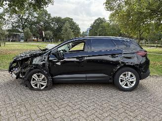 Opel Grandland X picture 2
