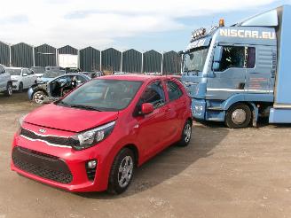 krockskadad bil auto Kia Picanto 1.0  Easy - Airco 2021/1
