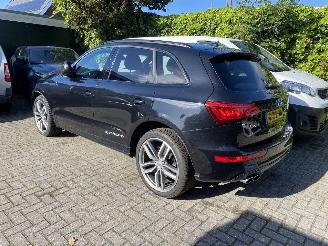 Audi SQ5 3.0 TSFI Quattro picture 28