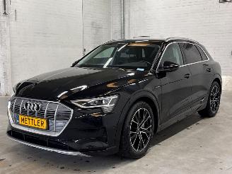 Schadeauto Audi E-tron 50 quattro SUV  Elektrisch  230kW (313pk) 4x4 2019 2019/12