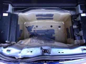 Tesla Model 3 RWD PLUS 60KW PANORAMA picture 9