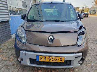 Renault Kangoo Family 1.6-16V Privilège Automaat picture 8