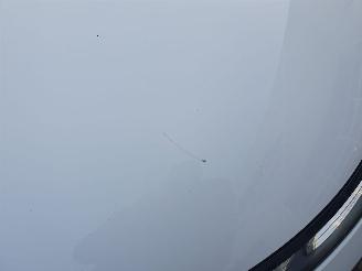 Citroën C4 cactus 1.6 BlueHDi Shine SCHADEVRIJ picture 12