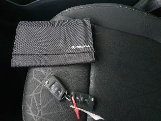 Skoda Fabia 1.0 TSI Clever picture 23