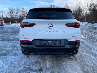 Opel Grandland 1.6 Automaat Hybrid picture 3