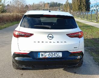 Opel Grandland 1.6 Automaat Hybrid picture 13