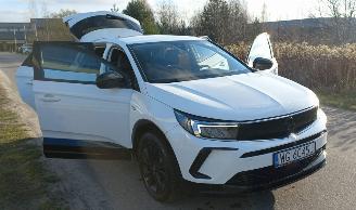 Opel Grandland 1.6 Automaat Hybrid picture 18