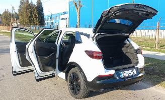 Opel Grandland 1.6 Automaat Hybrid picture 12