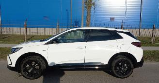 Opel Grandland 1.6 Automaat Hybrid picture 10