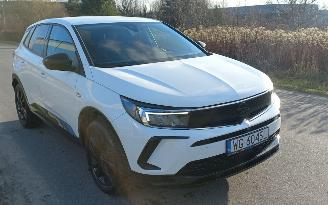 Opel Grandland 1.6 Automaat Hybrid picture 10