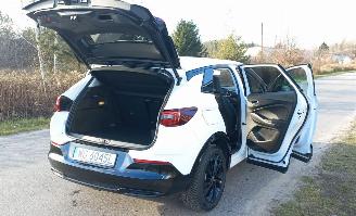 Opel Grandland 1.6 Automaat Hybrid picture 15