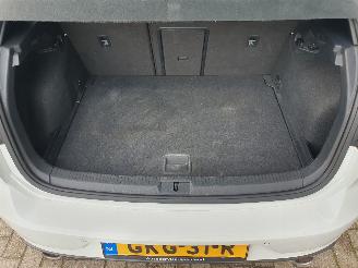 Volkswagen Golf 2.0 TSI GTI Performance Automaat picture 29