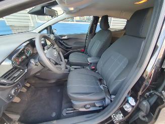 Ford Fiesta 1.0 Ecoboost Titanium picture 13