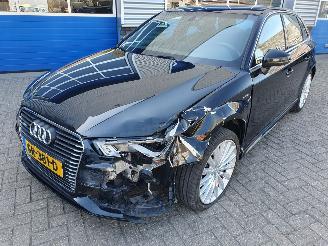 Audi A3 SPORTBACK 1.4 e-tron PHEV Ambition Pro Line plus picture 2