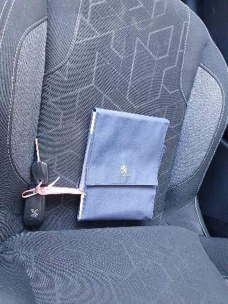 Peugeot 2008 1.2 PureTech Blue Lion picture 21