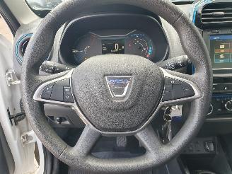 Dacia Spring Business 27 kWh picture 17