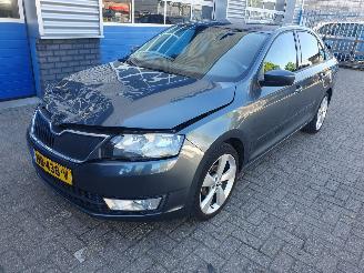 Auto incidentate Skoda Rapid 1.2 TSI Greentech Elegance Businessline 2016/1