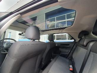 Citroën C4 cactus 1.2 PureTech W picture 28