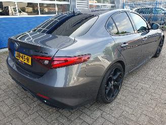 Alfa Romeo Giulia 2.0T AWD Veloce Automaat picture 5
