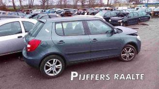 Skoda Fabia  picture 1