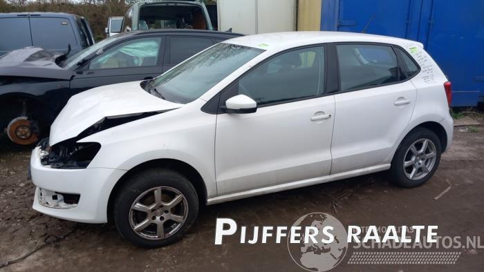 Volkswagen Polo Polo V (6R), Hatchback, 2009 / 2017 1.2 12V BlueMotion Technology