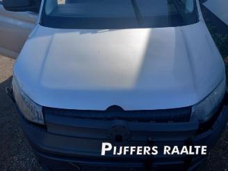 Volkswagen Caddy Caddy Cargo V (SBA/SBH), Van, 2020 2.0 TDI BlueMotionTechnology picture 24