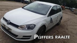 Volkswagen Golf Golf VII (AUA), Hatchback, 2012 / 2021 1.2 TSI 16V picture 12
