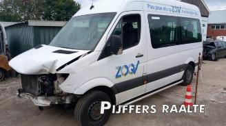 Autoverwertung Mercedes Sprinter Sprinter 3,5t (906.73), Bus, 2006 / 2020 316 NGT 2016/8