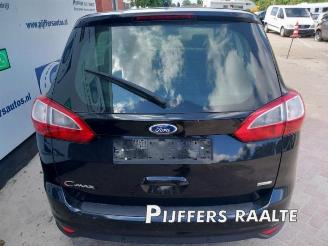 Ford Grand C-Max Grand C-Max (DXA), MPV, 2010 / 2019 1.0 Ti-VCT EcoBoost 12V 125 picture 19