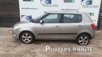 Vrakbiler auto Skoda Fabia Fabia II (5J), Hatchback 5-drs, 2006 / 2014 1.2 TDI 12V Greenline 2012/10