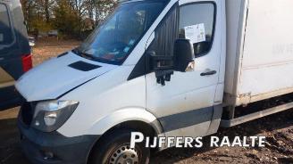 Mercedes Sprinter Sprinter 4,6t (906.15/906.25), Ch.Cab/Pick-up, 2006 / 2018 413 CDI 16V picture 4
