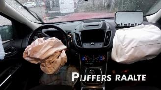 Ford Kuga Kuga II (DM2), SUV, 2012 1.5 EcoBoost 16V 150 picture 15