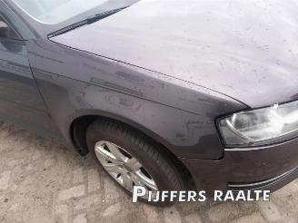 Audi A3 A3 Sportback (8PA), Hatchback 5-drs, 2004 / 2013 1.4 TFSI 16V picture 5