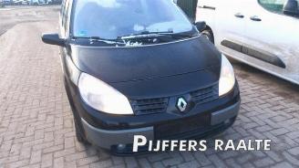 Renault Grand-scenic Grand Scenic II (JM), MPV, 2004 / 2009 2.0 16V picture 3